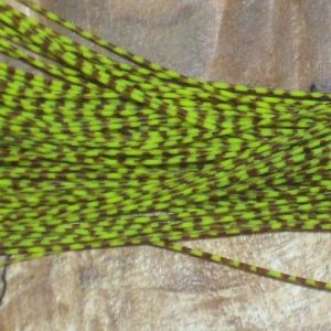 Barred Round Rubber Legs